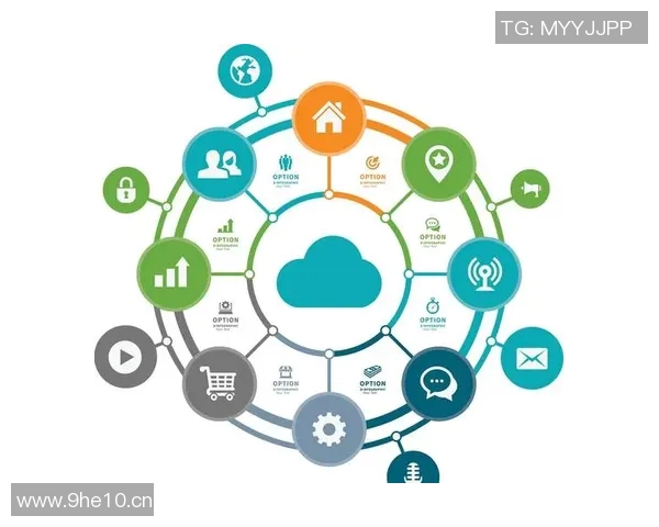 深入探讨Instagram节奏表现的数据分析与优化策略